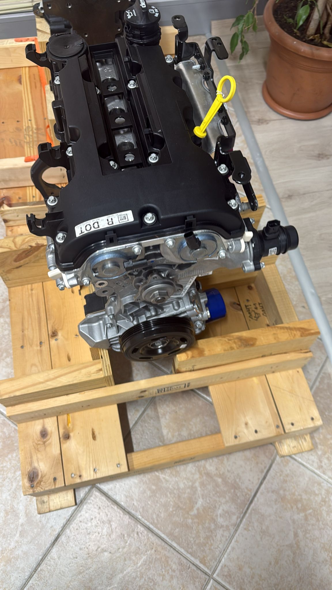 MOTOR